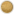ICON-02 (1)